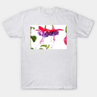 Fuchsia T-Shirt